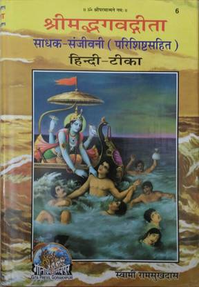 Gita Sadhak Sanjivani (Book Code-6) Hindi HB  (Hindi, Hardcover, Swami Ramsukhdas)